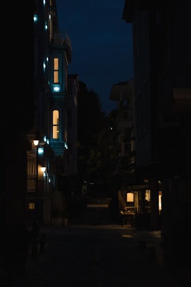 免费动漫网站 - 电锯人 剧场版 蕾塞篇